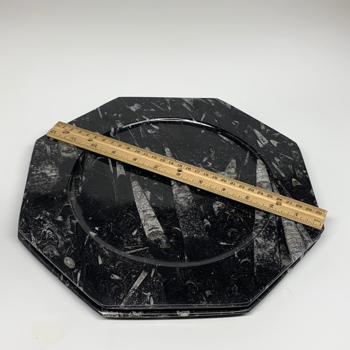 2pcs, 12" Large Octagon Shape Black Fossils Orthoceras Plates @Morocco, B8330