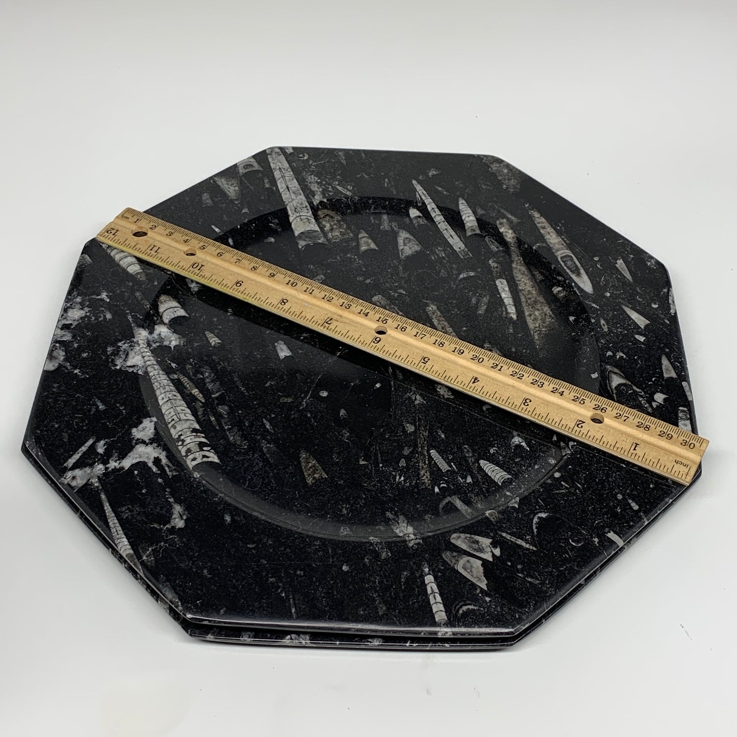 2pcs, 12" Large Octagon Shape Black Fossils Orthoceras Plates @Morocco, B8331