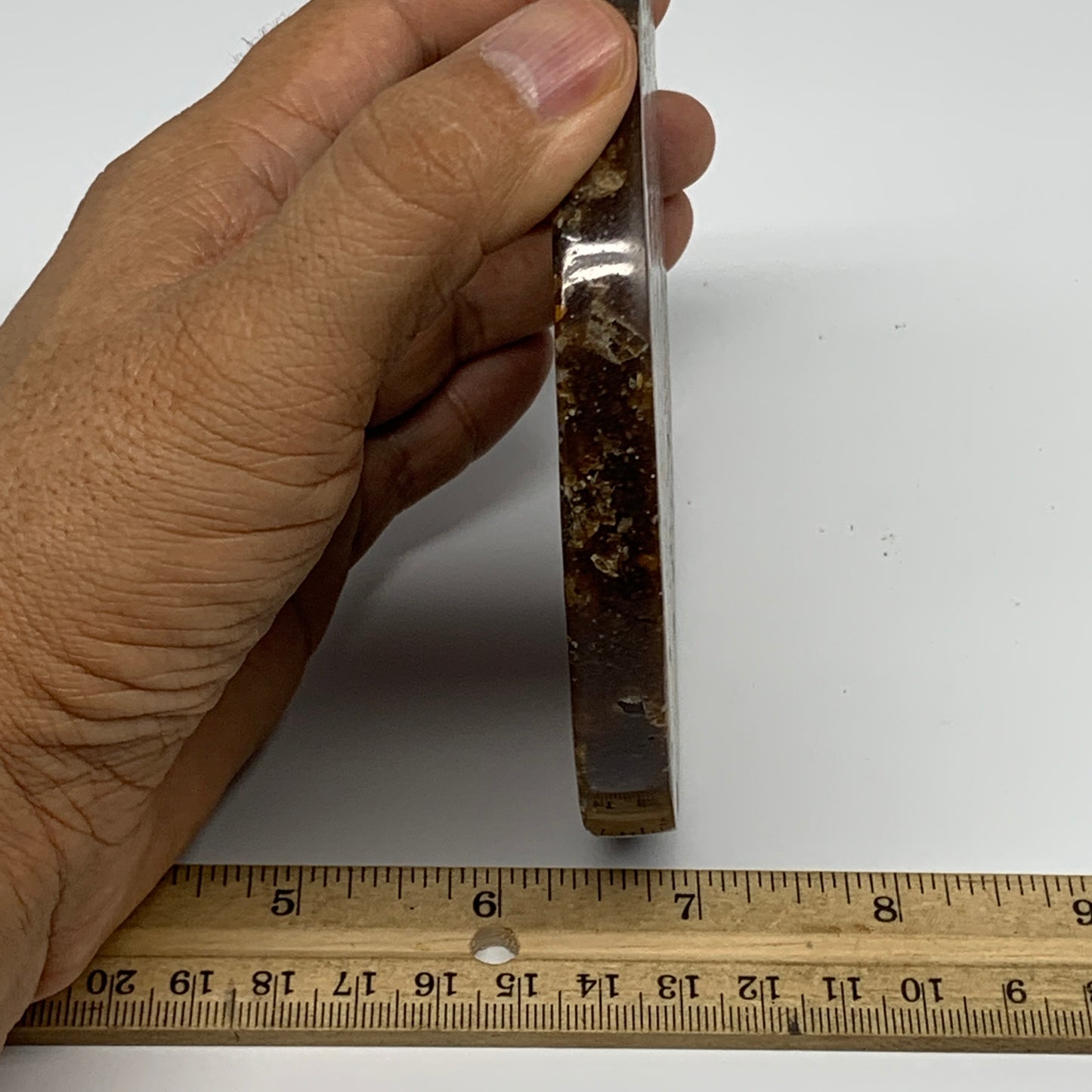 235g, 4.4"x0.5", Ammonite coaster fossils made round disc @Madagascar, B15024