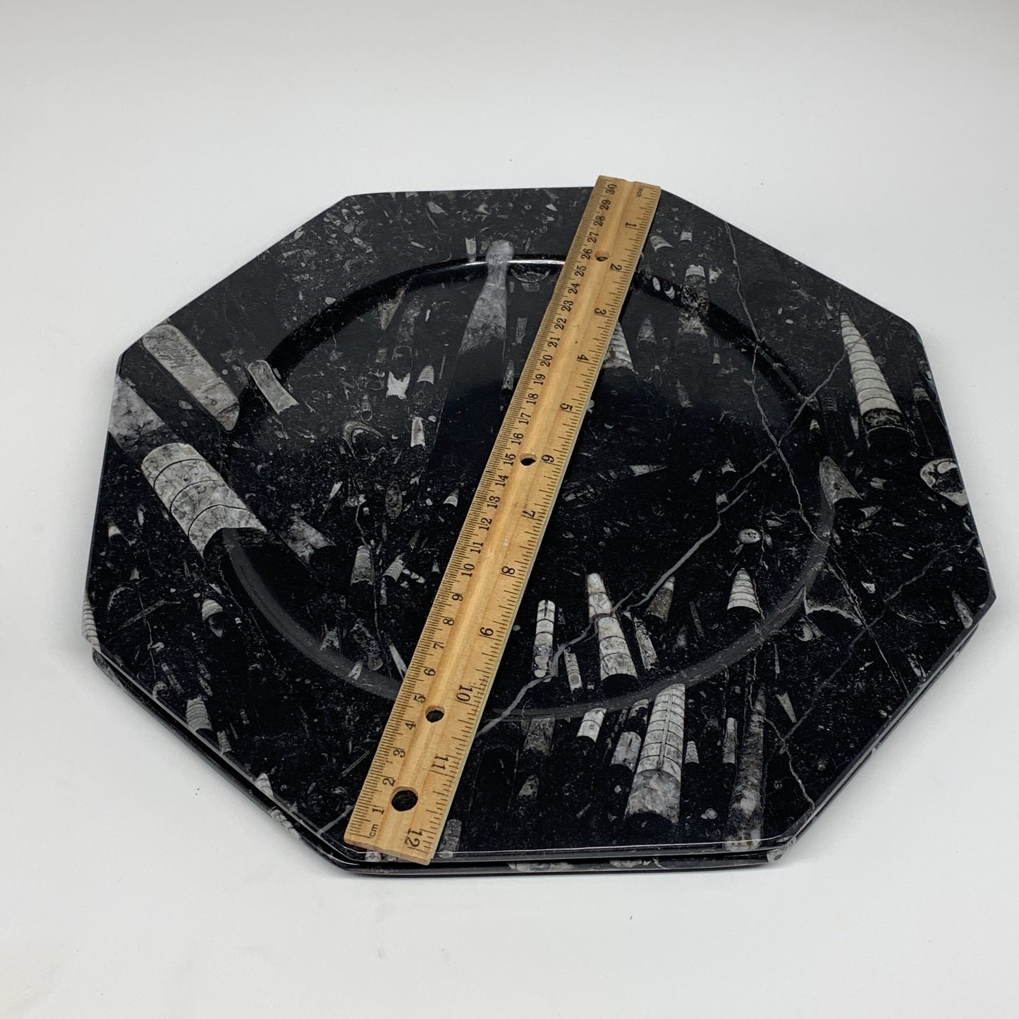 2pcs, 12" Large Octagon Shape Black Fossils Orthoceras Plates @Morocco, B8347