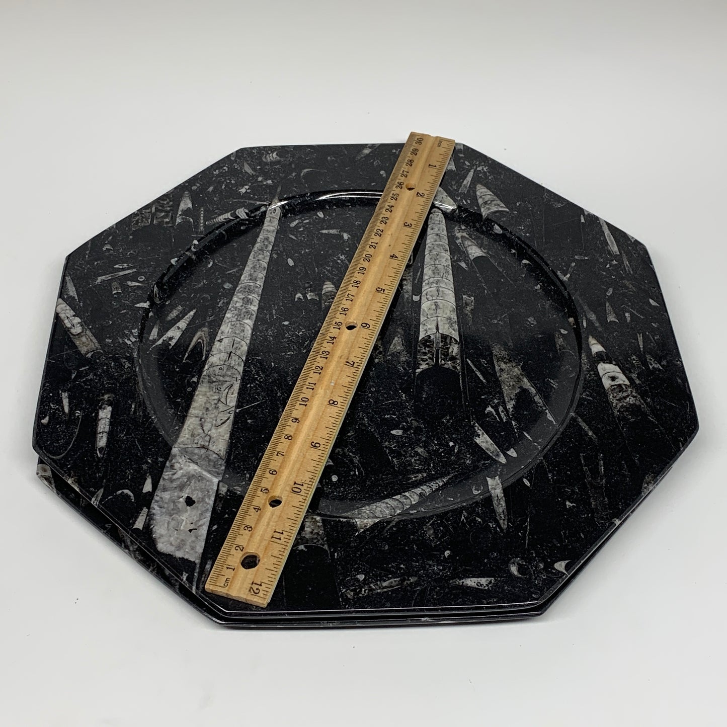 2pcs, 12" Large Octagon Shape Black Fossils Orthoceras Plates @Morocco, B8352