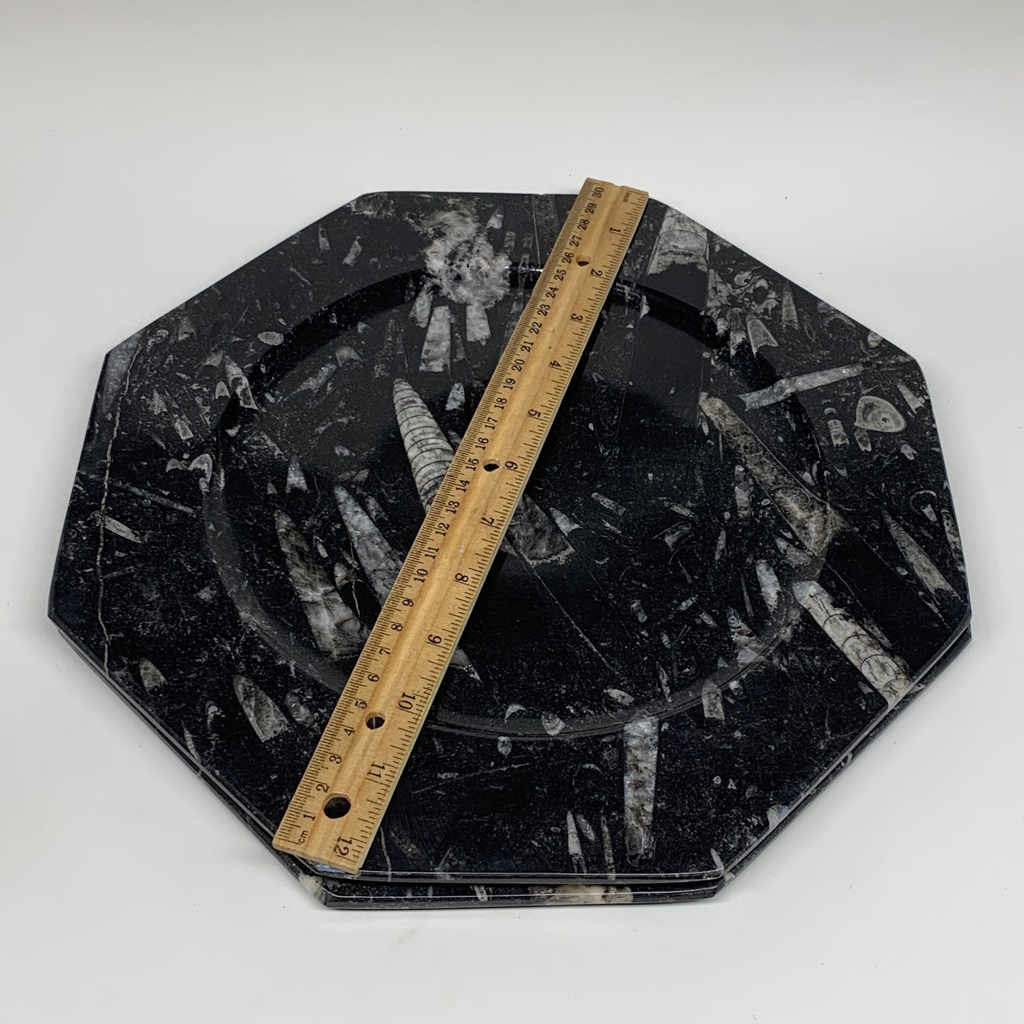 2pcs, 12" Large Octagon Shape Black Fossils Orthoceras Plates @Morocco, B8354