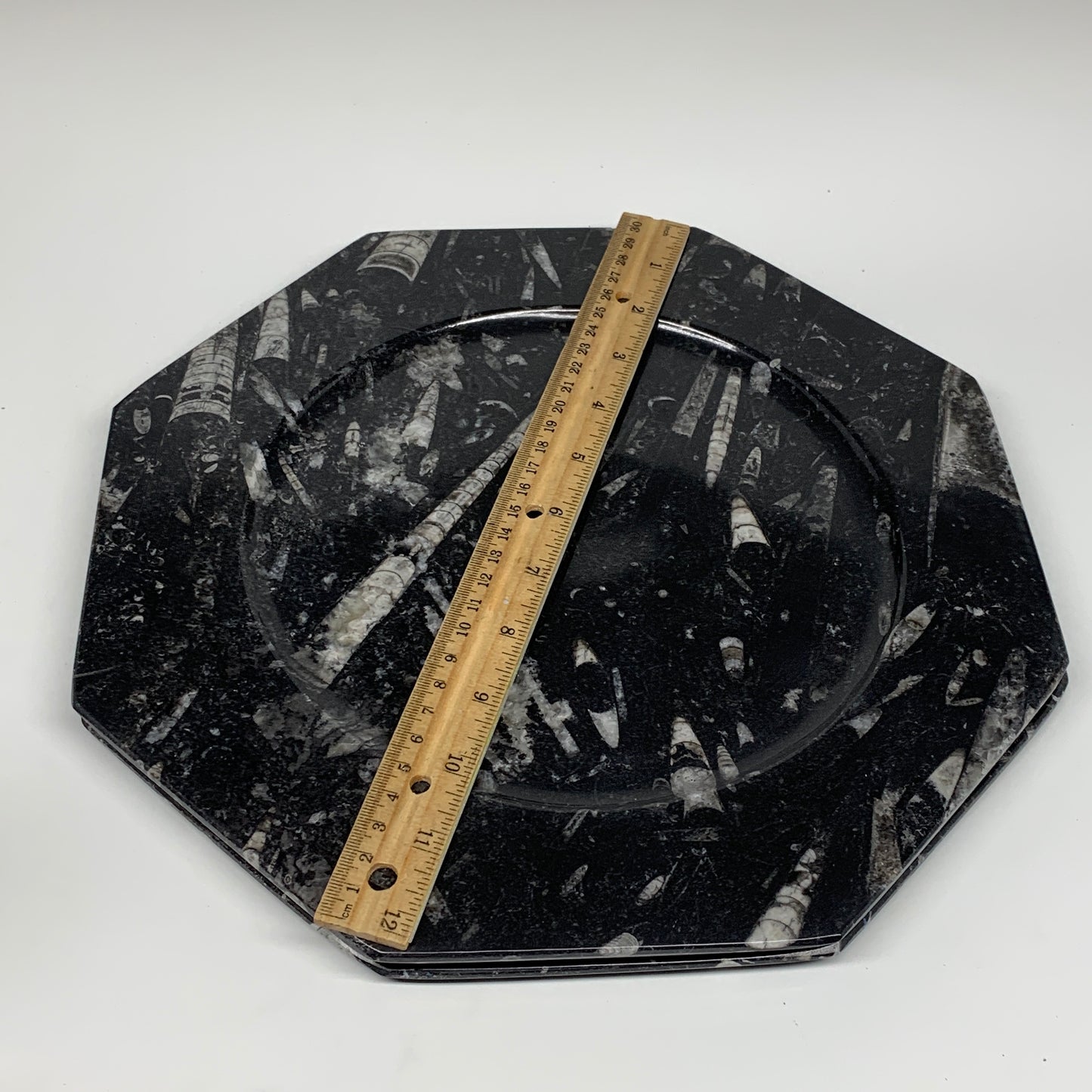 2pcs, 12" Large Octagon Shape Black Fossils Orthoceras Plates @Morocco, B8356
