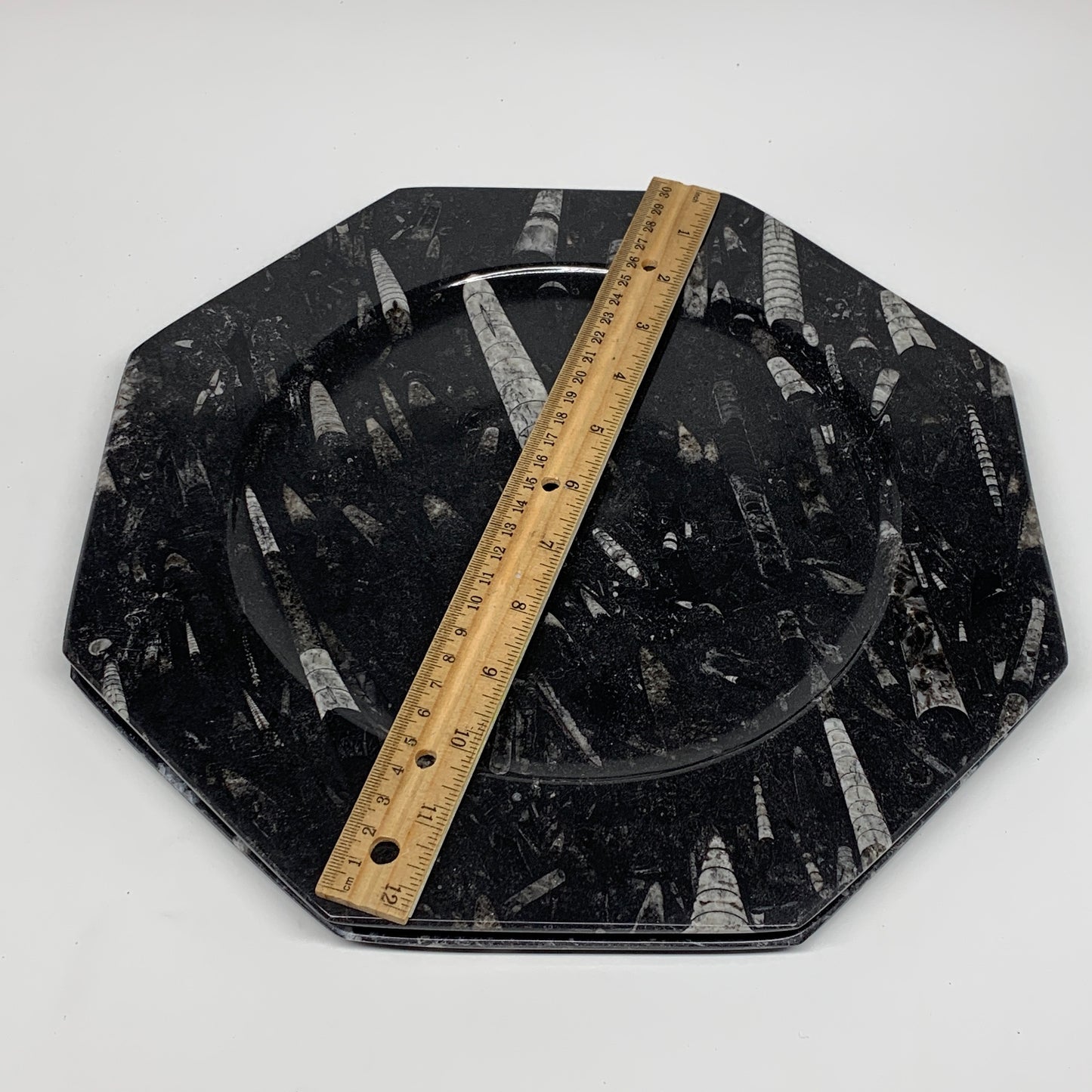 2pcs, 12" Large Octagon Shape Black Fossils Orthoceras Plates @Morocco, B8359