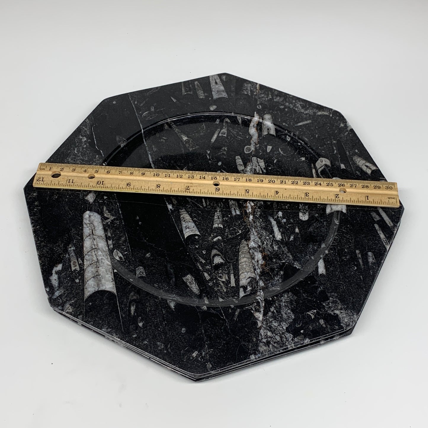 2pcs, 12" Large Octagon Shape Black Fossils Orthoceras Plates @Morocco, B8361