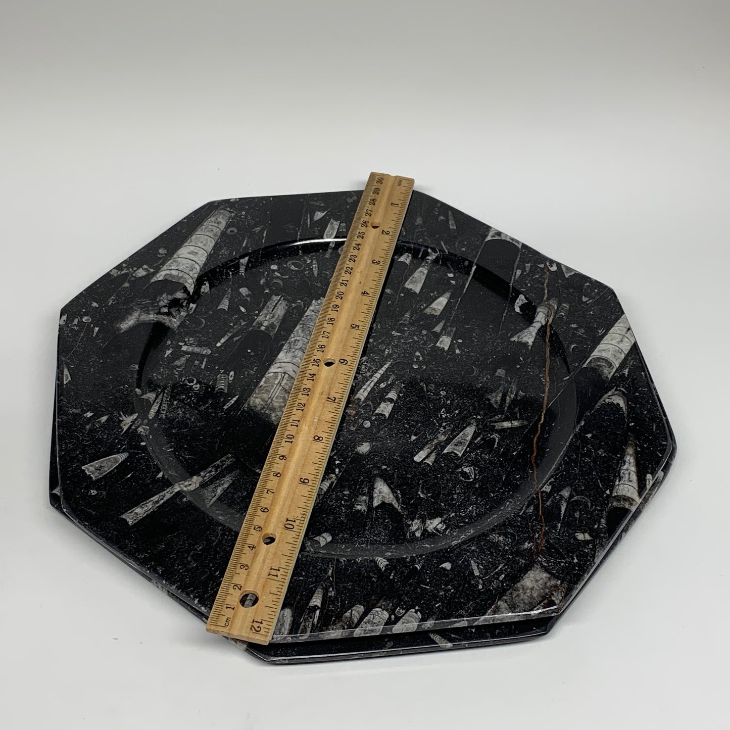 2pcs, 12" Large Octagon Shape Black Fossils Orthoceras Plates @Morocco, B8363