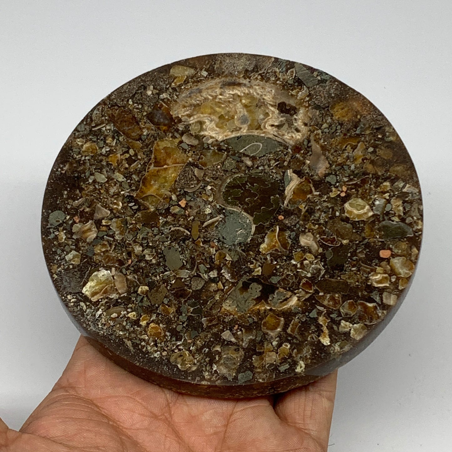 204.2g, 4.4"x0.4", Ammonite coaster fossils made round disc @Madagascar, B15064