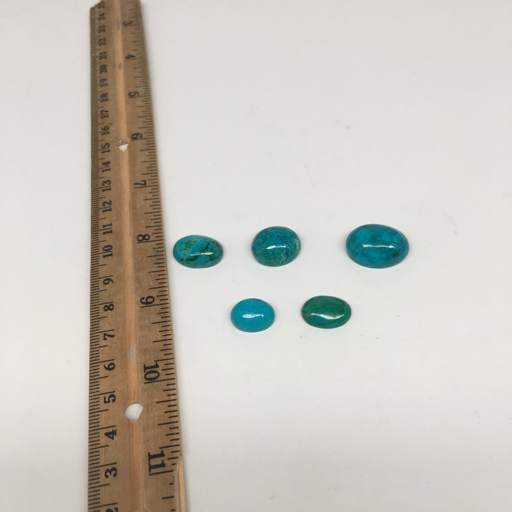 55 cts, 5pcs, Natural Oval Shape Flat Bottom Chrysocolla Cabochon @Mexico,Lot17 - watangem.com