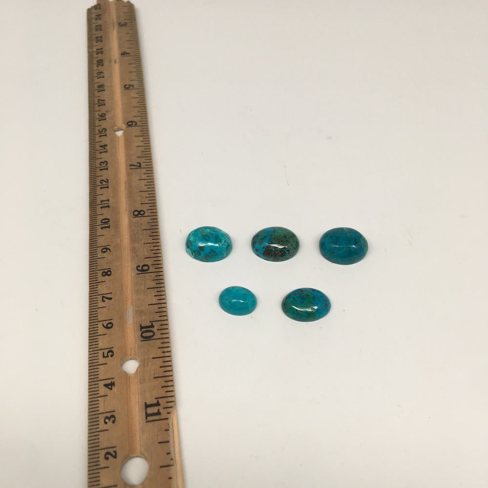 49.5 cts, 5pcs, Natural Oval Shape Flat Bottom Chrysocolla Cabochon @Mexico,Lot1 - watangem.com
