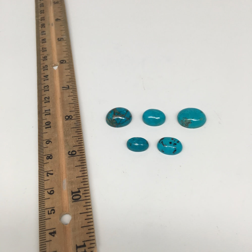 34.5 cts, 5pcs, Natural Oval Flat Bottom Chrysocolla Cabochons @Mexico,Lot32