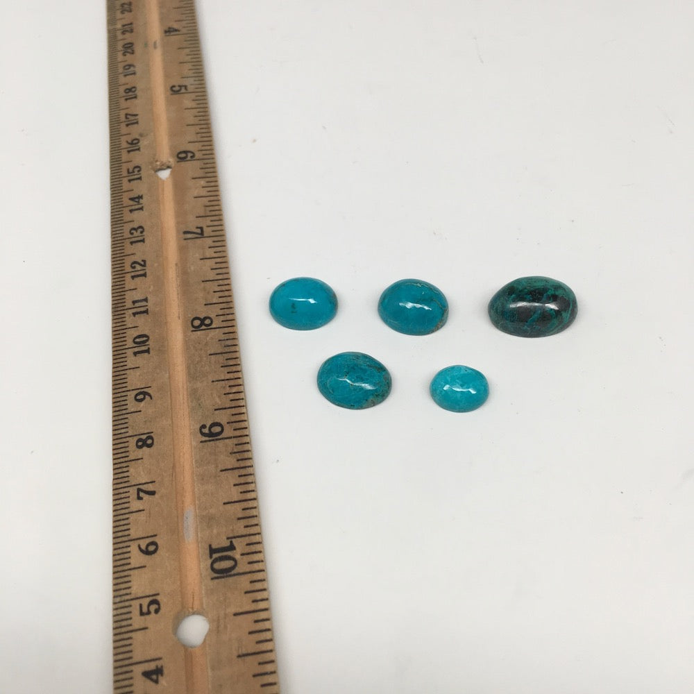 40 cts, 5pcs,Natural Oval Flat Bottom Chrysocolla Cabochons @Mexico,Lot41