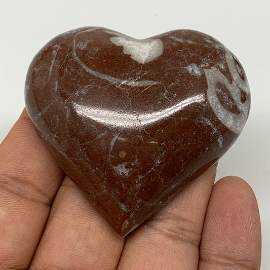 62.8g,2"x2.2"x0.7" Natural Untreated Red Shell Fossils Half Heart @Morocco,F962