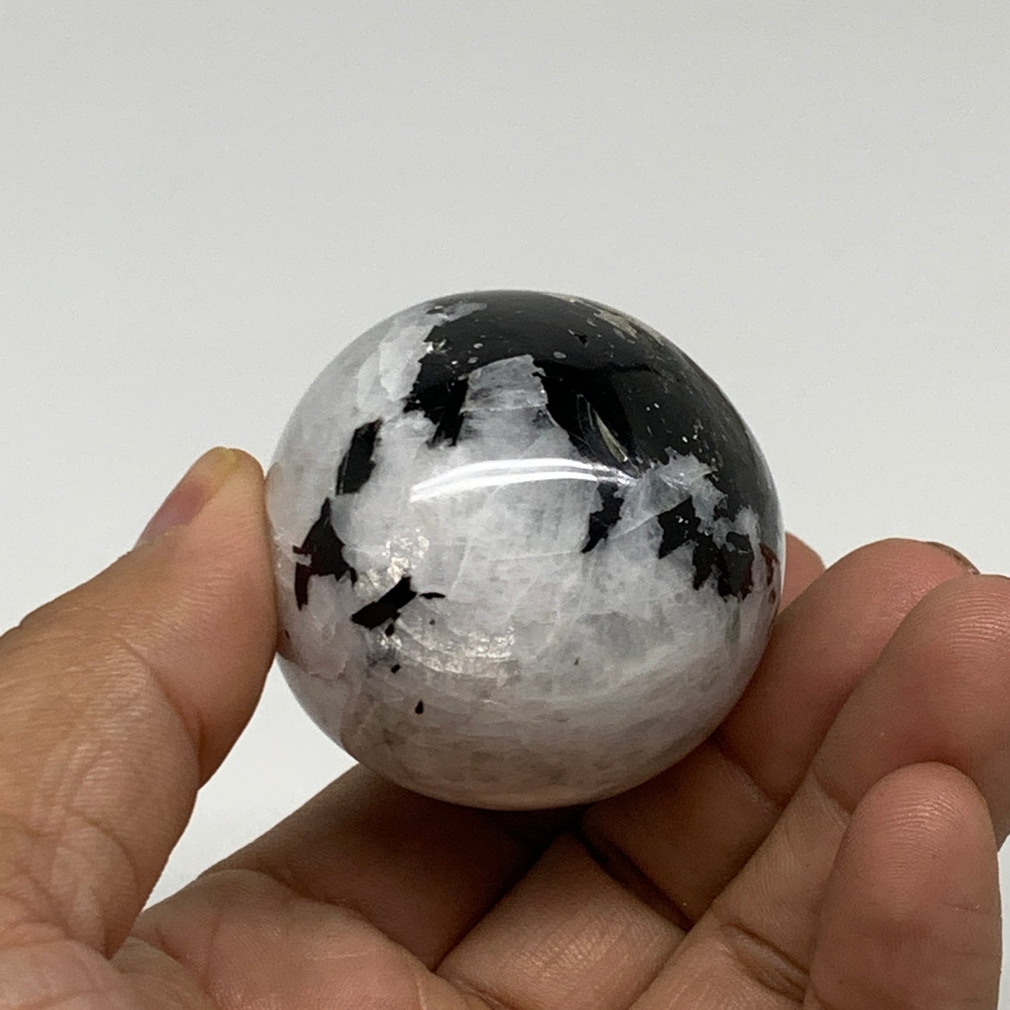 159.9g, 2.4"x1.7", Natural Gemstone White Rainbow Moonstone Egg, B34294