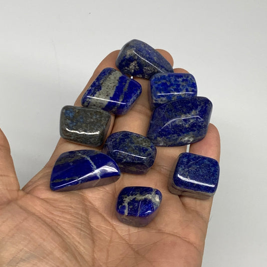 118.9g,0.8"-1.1", 9pcs, Natural Lapis Lazuli Tumbled Stone @Afghanistan, B30257