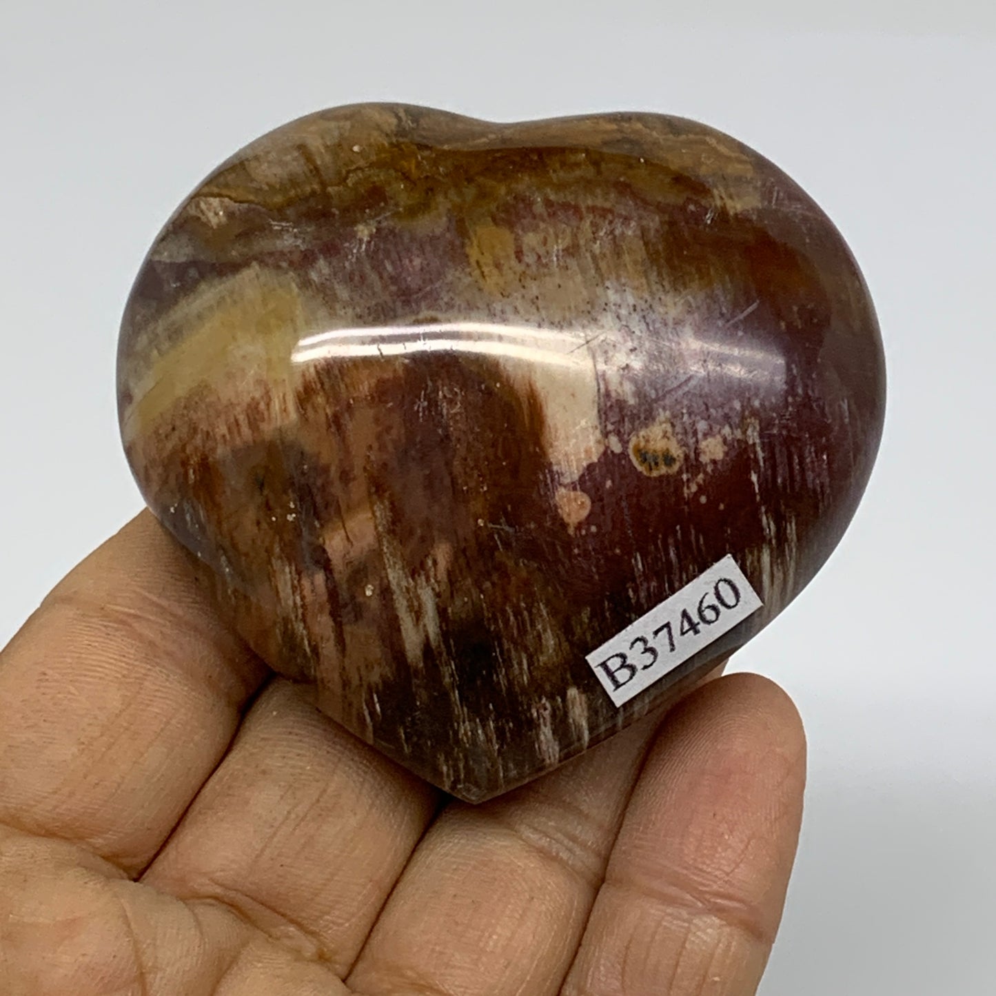 0.31 lbs, 2.3"x2.5"x1.1", Natural Petrified Wood Heart Polished Crystal, B37460