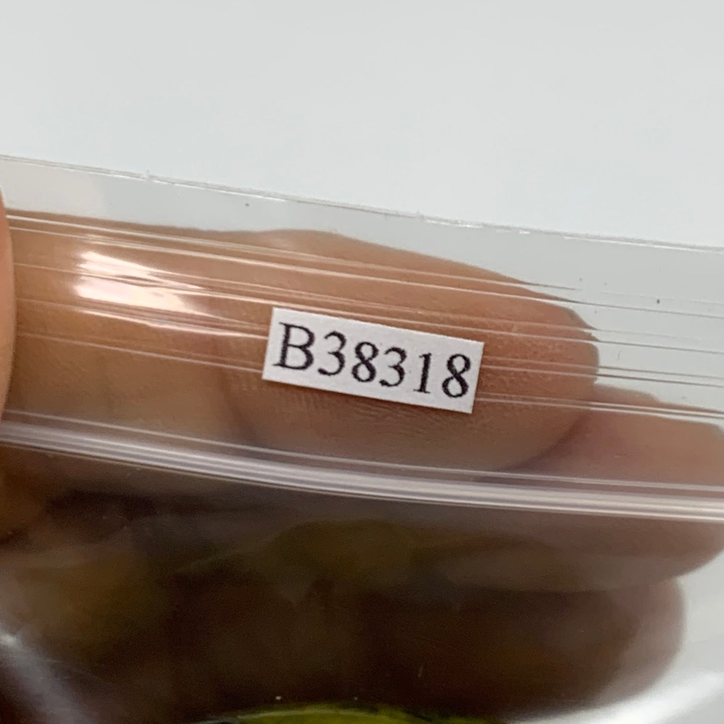 201.6g, 1.9"-2.2", 3pcs, Green Opal Crystal PalmStone Polished Reiki, B38318