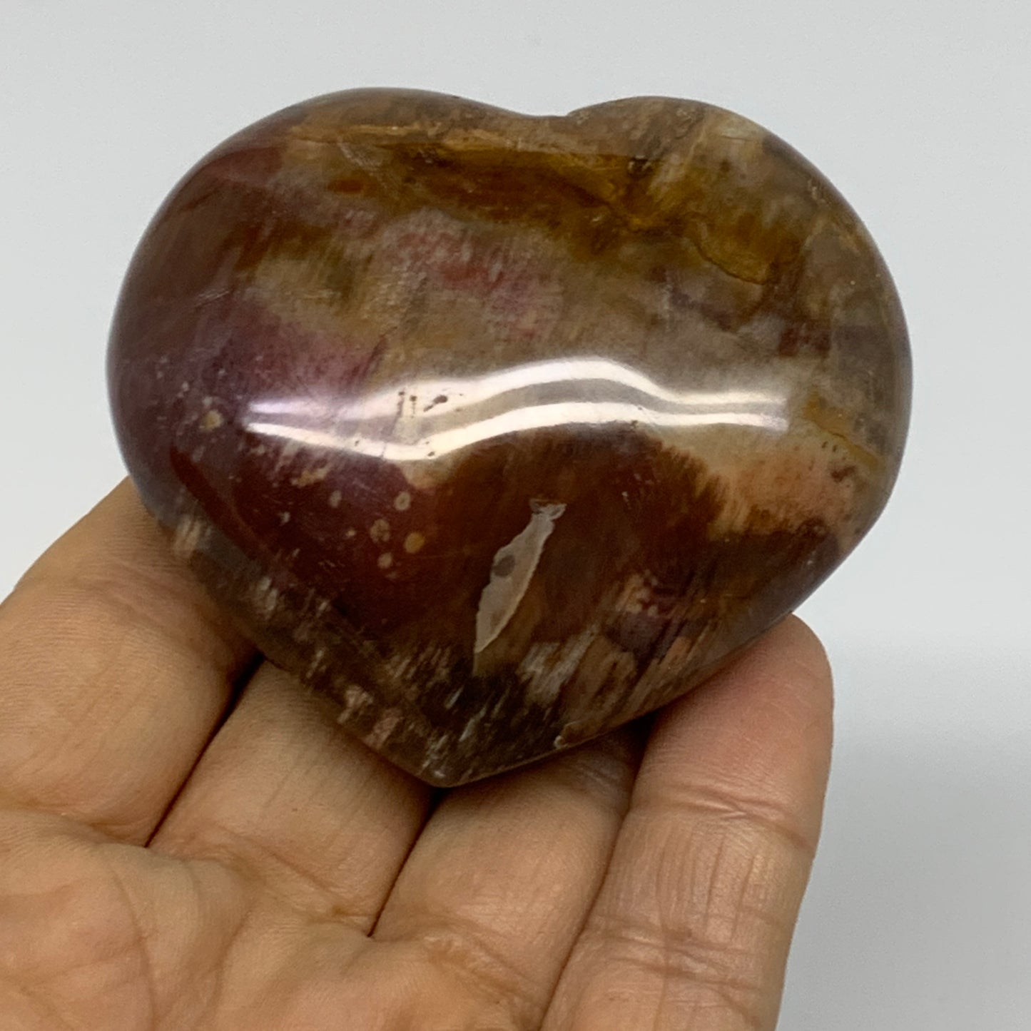 0.31 lbs, 2.3"x2.5"x1.1", Natural Petrified Wood Heart Polished Crystal, B37460