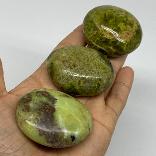 213.9g, 2"-2.2", 3pcs, Green Opal Crystal PalmStone Polished Reiki, B38319