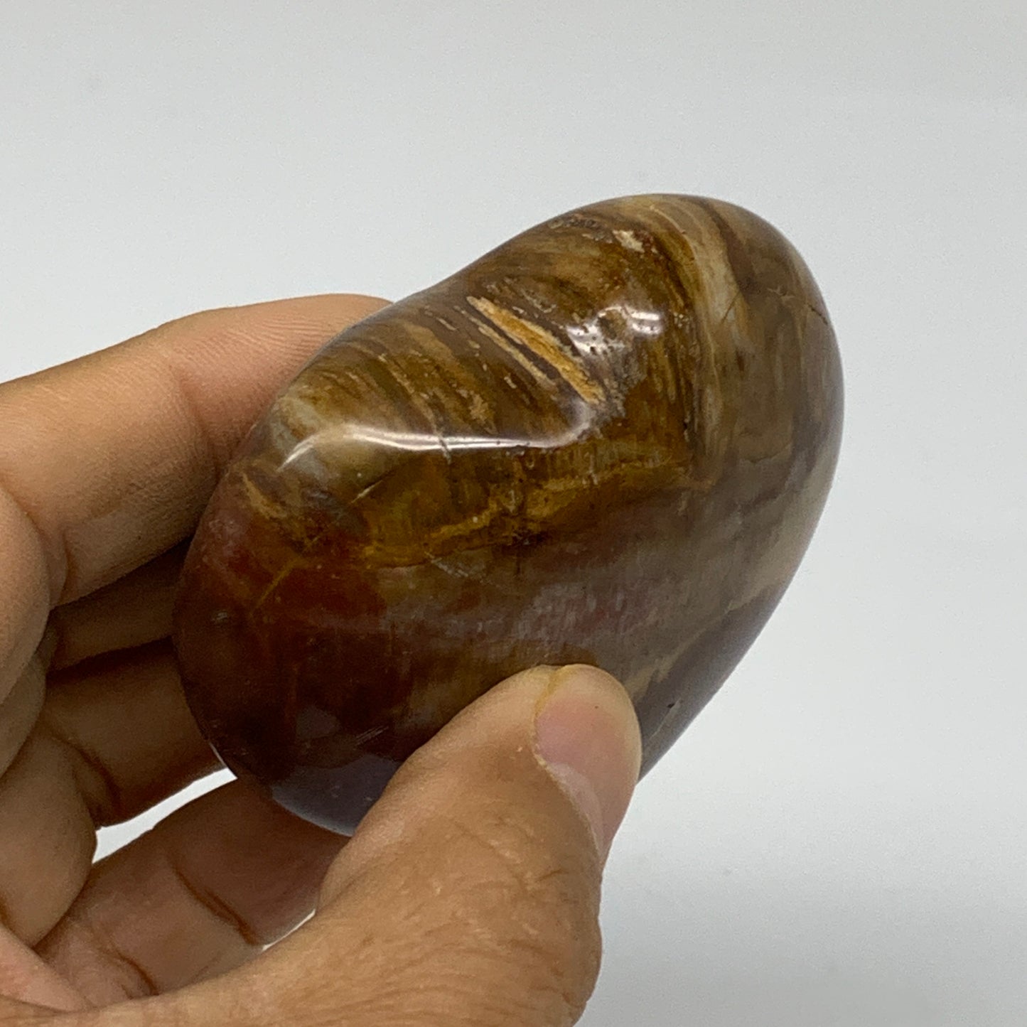 0.31 lbs, 2.3"x2.5"x1.1", Natural Petrified Wood Heart Polished Crystal, B37460