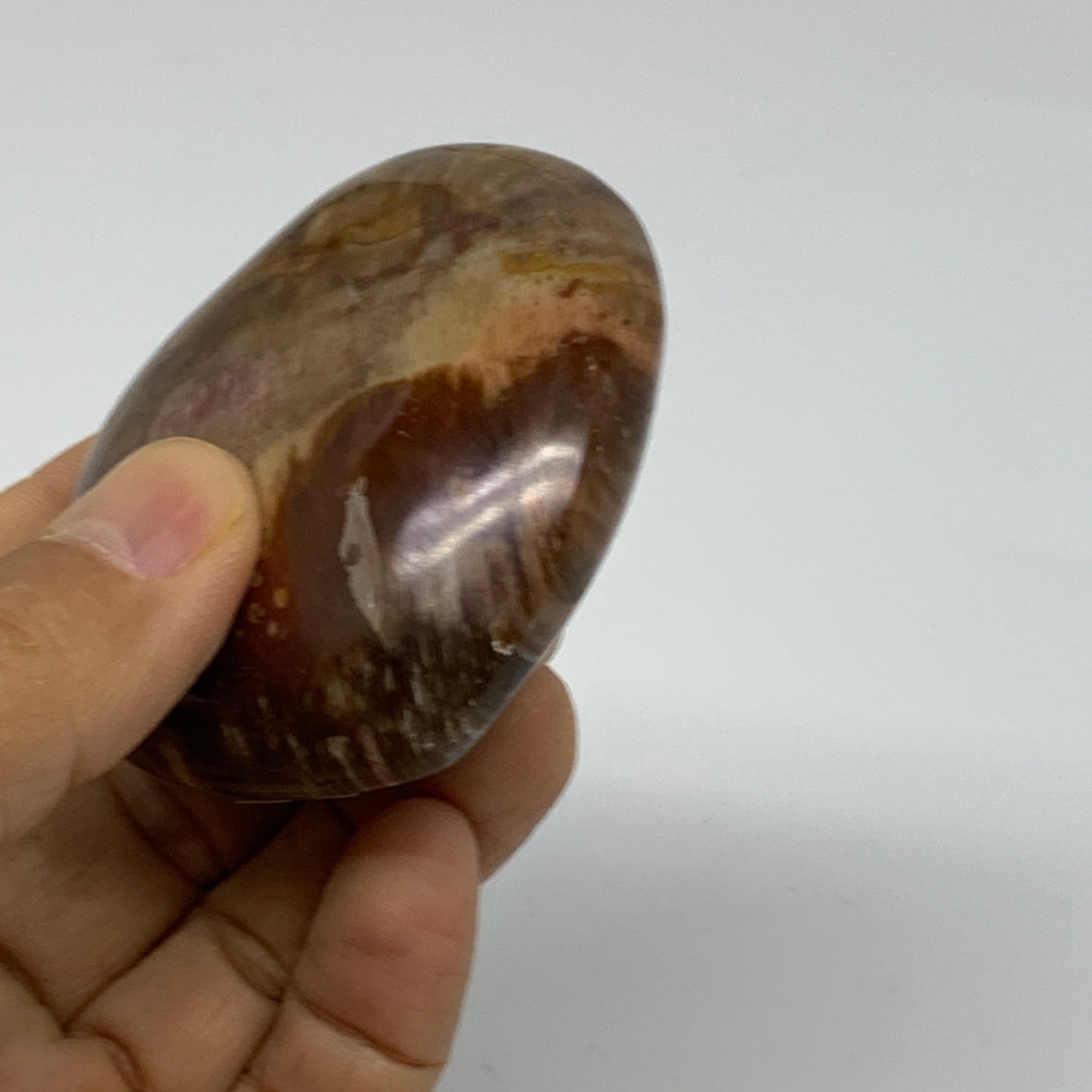 0.31 lbs, 2.3"x2.5"x1.1", Natural Petrified Wood Heart Polished Crystal, B37460