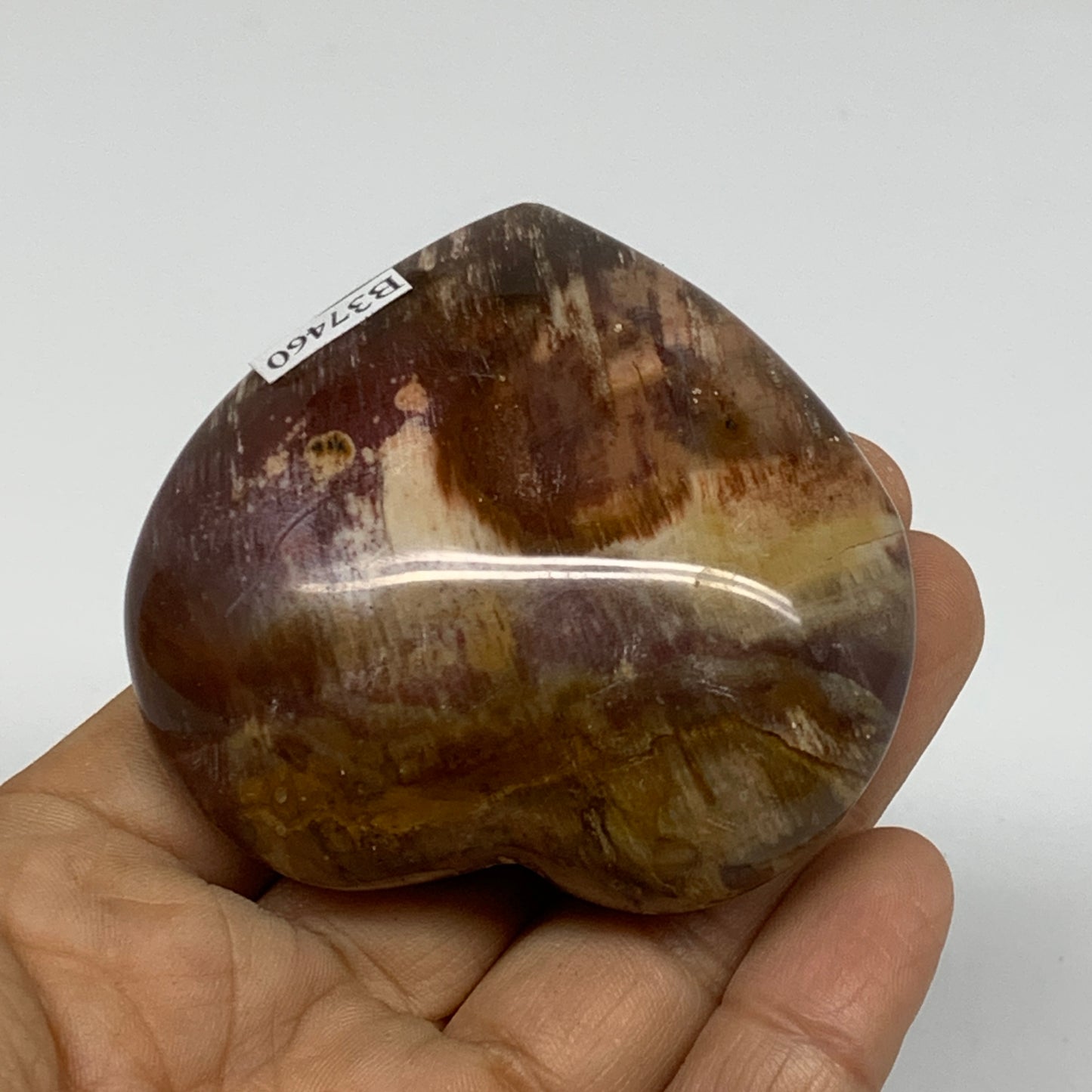 0.31 lbs, 2.3"x2.5"x1.1", Natural Petrified Wood Heart Polished Crystal, B37460