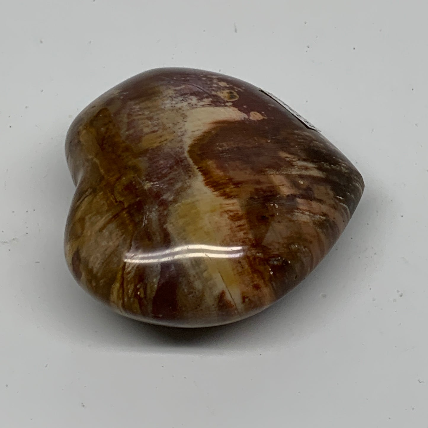 0.31 lbs, 2.3"x2.5"x1.1", Natural Petrified Wood Heart Polished Crystal, B37460