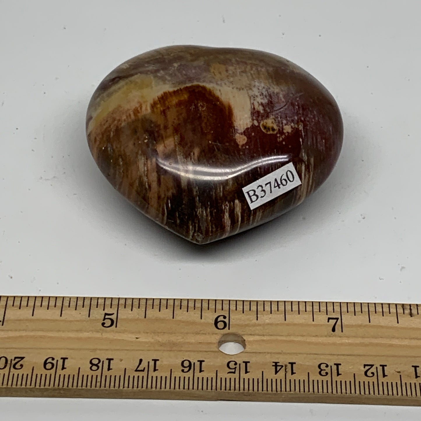 0.31 lbs, 2.3"x2.5"x1.1", Natural Petrified Wood Heart Polished Crystal, B37460
