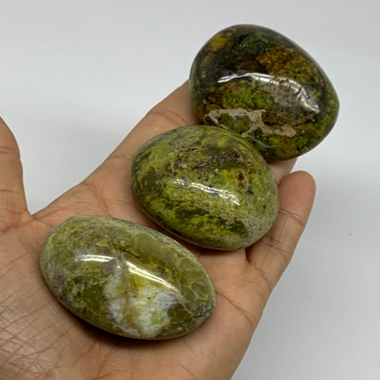 235.8g, 2"-2.2", 3pcs, Green Opal Crystal PalmStone Polished Reiki, B38322