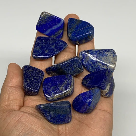 122g,0.8"-1.3", 10pcs, Natural Lapis Lazuli Tumbled Stone @Afghanistan, B30269