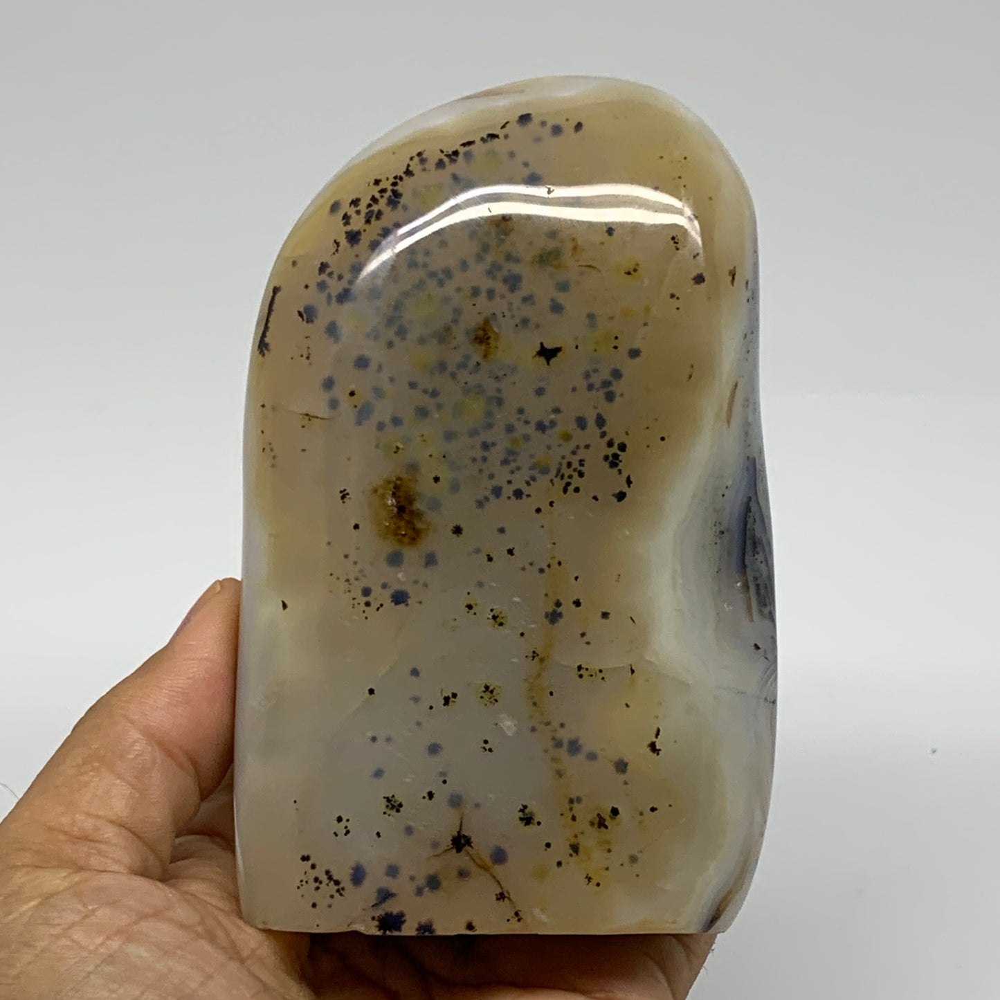 1 lbs, 4.5"x2.8"x1.4" Dendrite Agate Freeform Reiki Energy Crystal, B37471