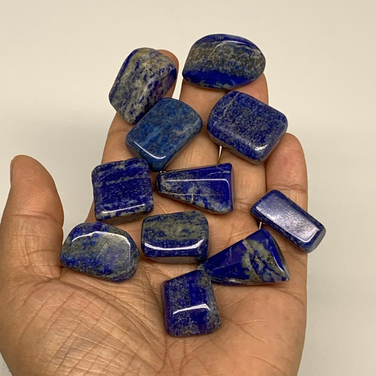 118.6g,0.8"-1.1", 11pcs, Natural Lapis Lazuli Tumbled Stone @Afghanistan, B30271