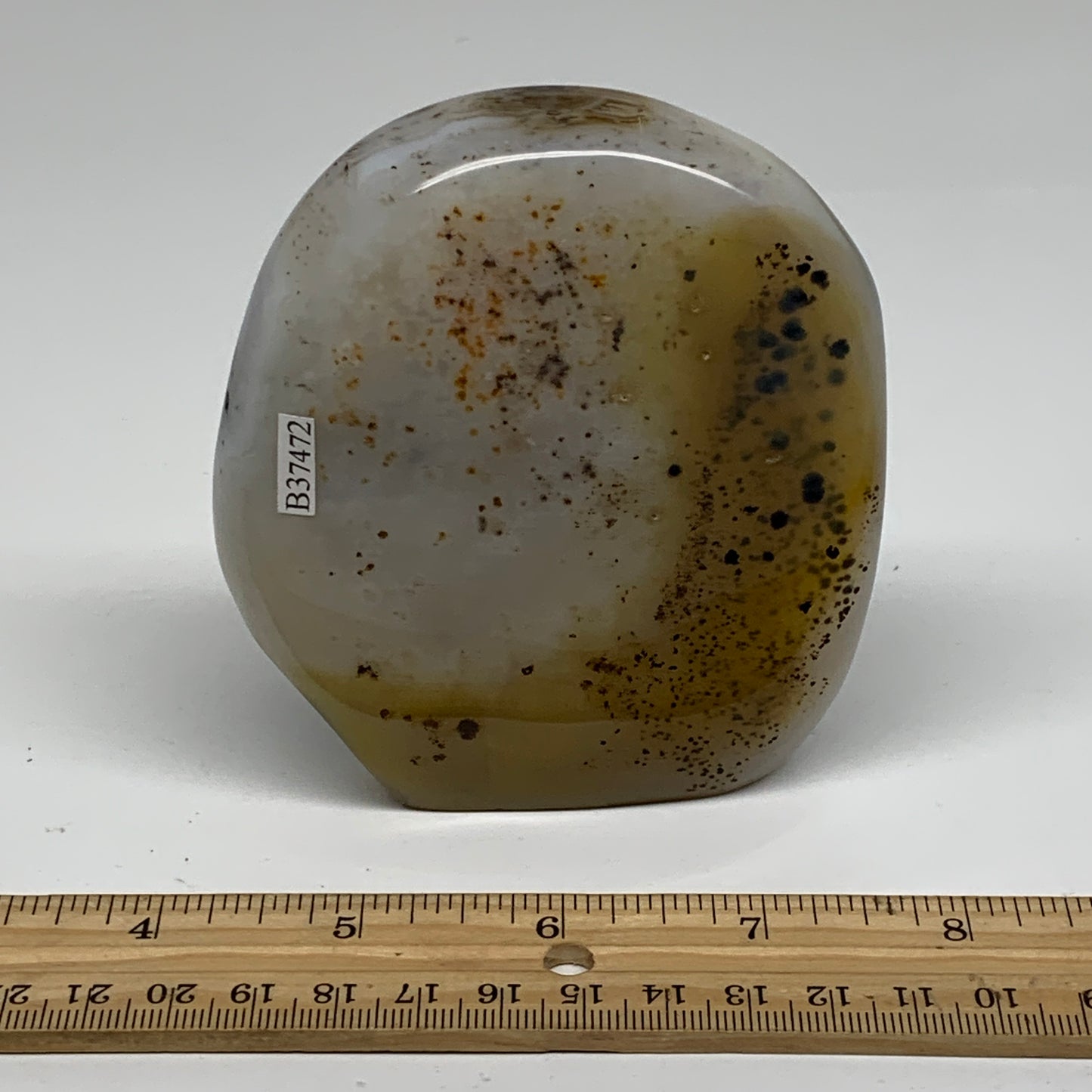 0.81 lbs, 4"x3.4"x1" Dendrite Agate Freeform Reiki Energy Crystal, B37472