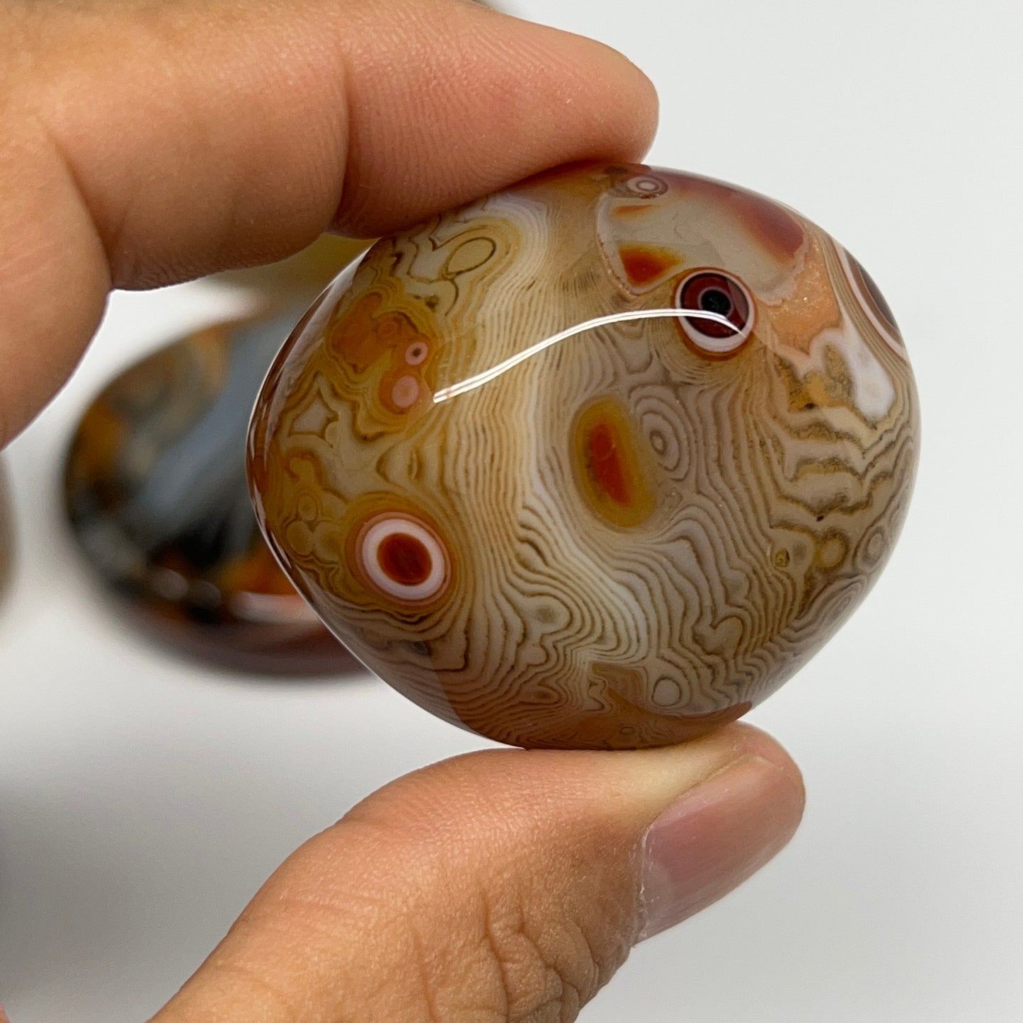 1005g, 1.6" - 2.9", 9pcs, Sardonyx Palm-Stone Freeform Crystal Polished, B22976