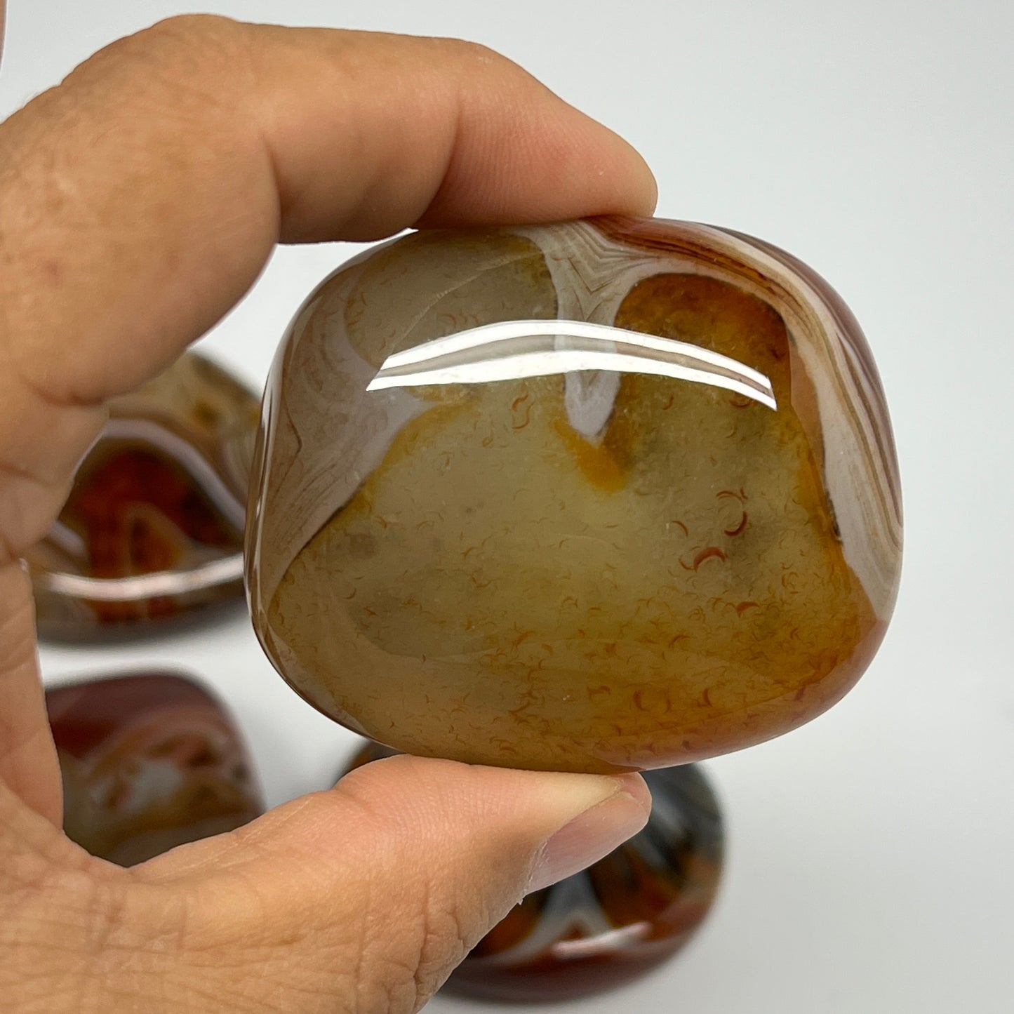 1005g, 1.6" - 2.9", 9pcs, Sardonyx Palm-Stone Freeform Crystal Polished, B22976