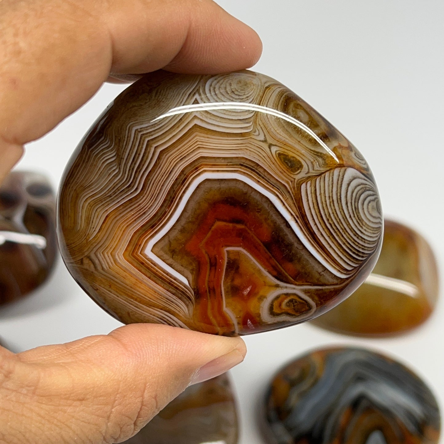 1005g, 1.6" - 2.9", 9pcs, Sardonyx Palm-Stone Freeform Crystal Polished, B22976