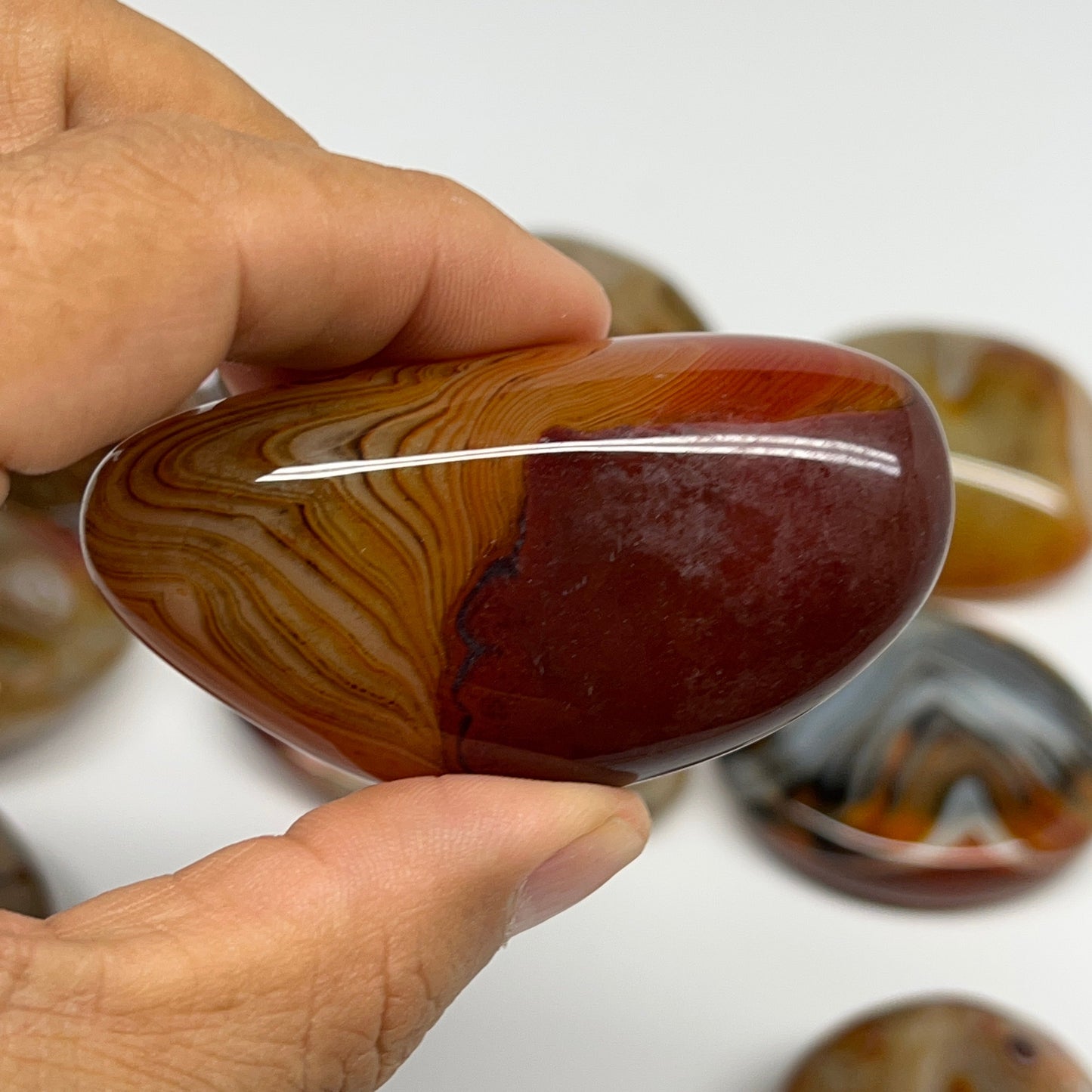 1005g, 1.6" - 2.9", 9pcs, Sardonyx Palm-Stone Freeform Crystal Polished, B22976
