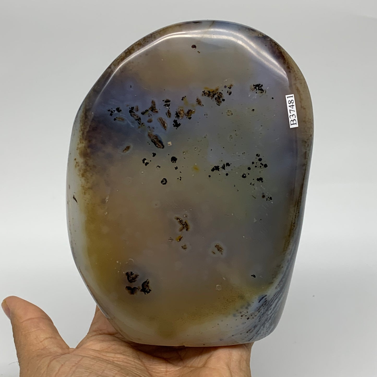 2.17 lbs, 5.5"x4.2"x1.9" Dendrite Agate Freeform Reiki Energy Crystal, B37481