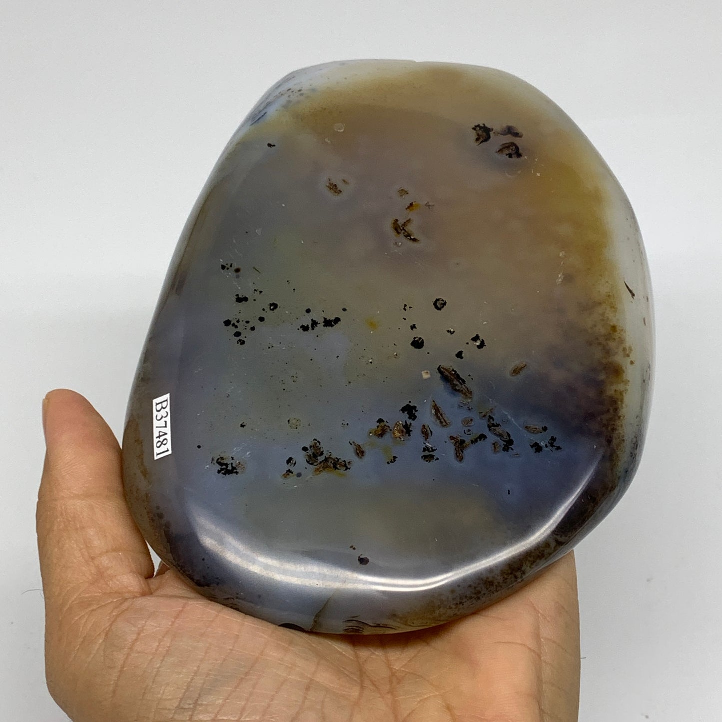 2.17 lbs, 5.5"x4.2"x1.9" Dendrite Agate Freeform Reiki Energy Crystal, B37481