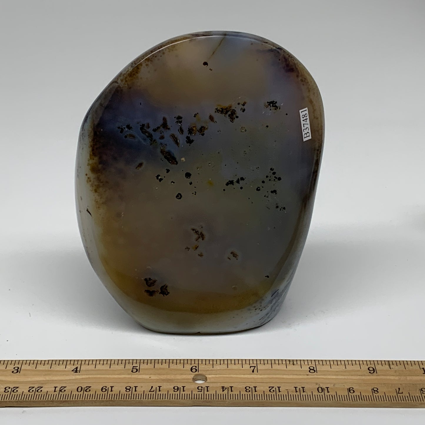 2.17 lbs, 5.5"x4.2"x1.9" Dendrite Agate Freeform Reiki Energy Crystal, B37481