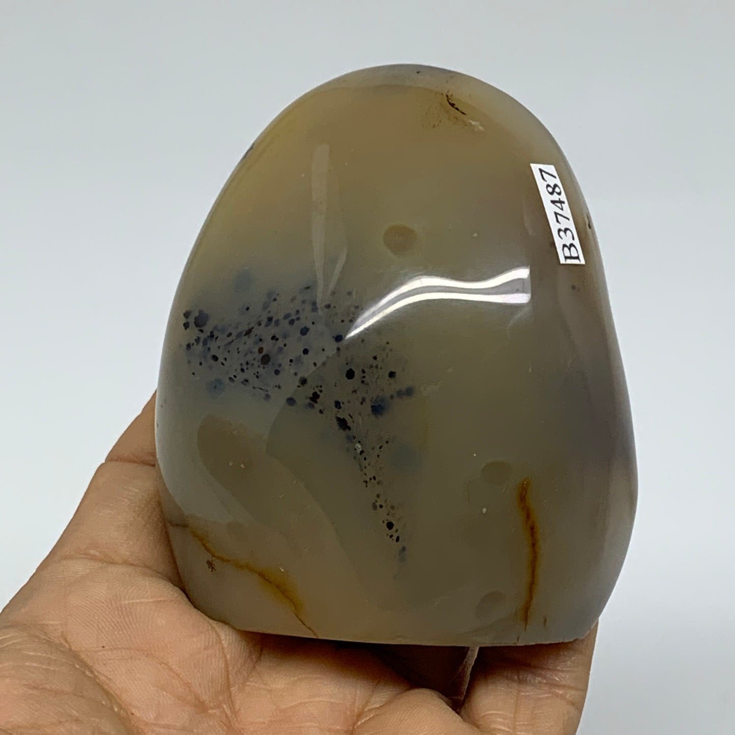 0.49 lbs, 2.9"x2.5"x1.3" Dendrite Agate Freeform Reiki Energy Crystal, B37487