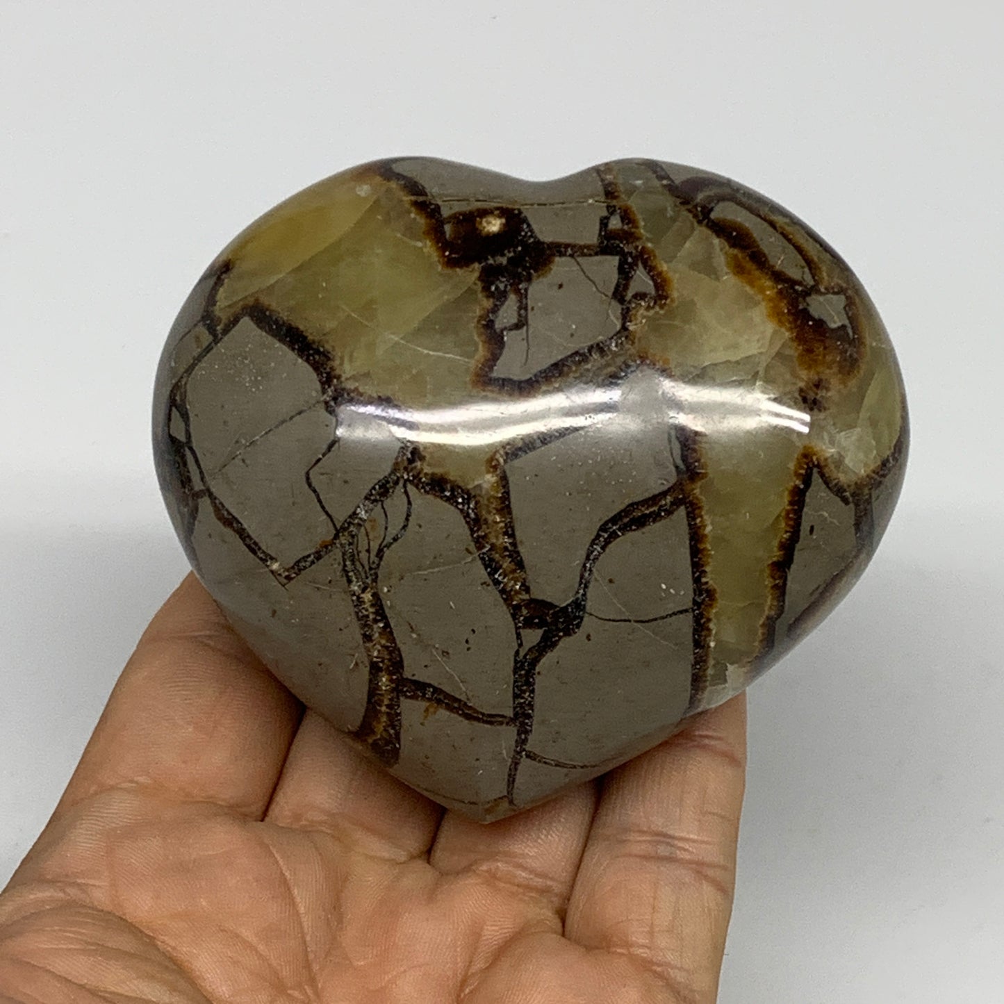 0.77 lbs, 2.8"x3.2"x1.6" Septarian Nodules Heart Polished Healing Crystal, B3101