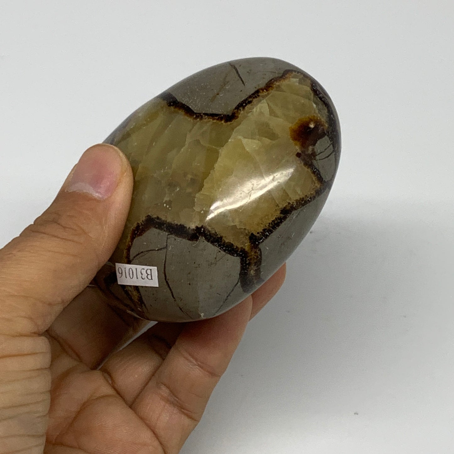 0.77 lbs, 2.8"x3.2"x1.6" Septarian Nodules Heart Polished Healing Crystal, B3101