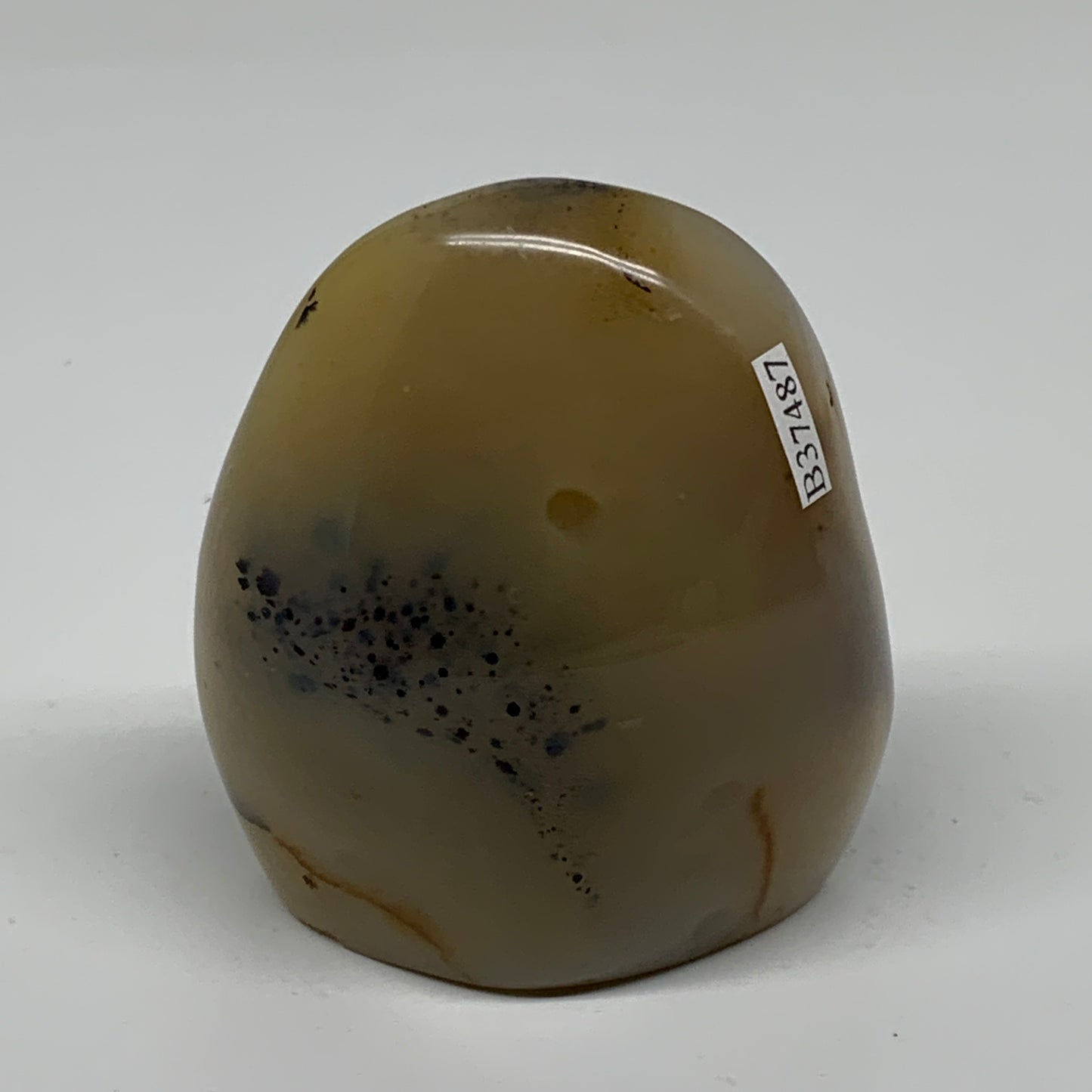 0.49 lbs, 2.9"x2.5"x1.3" Dendrite Agate Freeform Reiki Energy Crystal, B37487