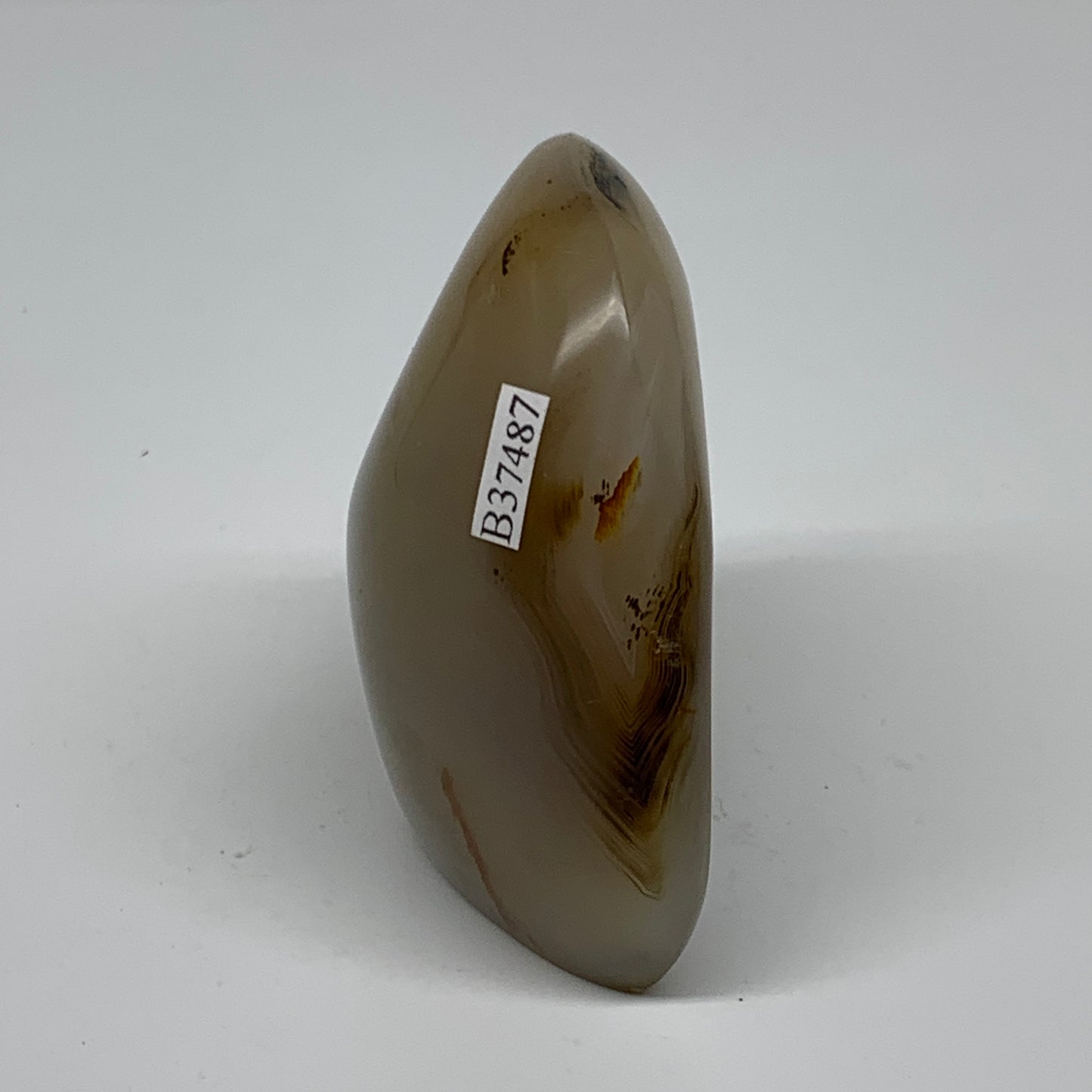 0.49 lbs, 2.9"x2.5"x1.3" Dendrite Agate Freeform Reiki Energy Crystal, B37487