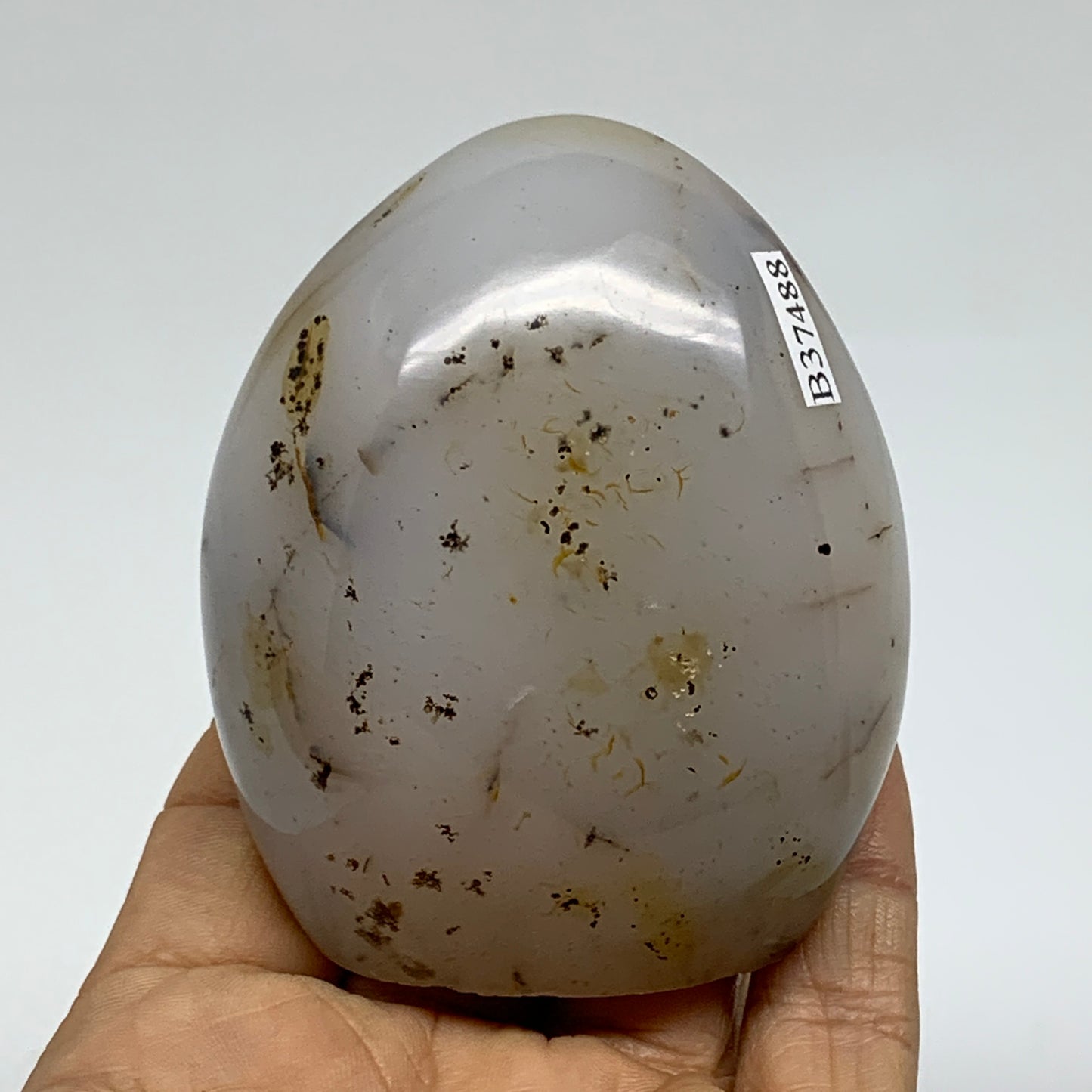 0.46 lbs, 2.8"x2.4"x1.3" Dendrite Agate Freeform Reiki Energy Crystal, B37488