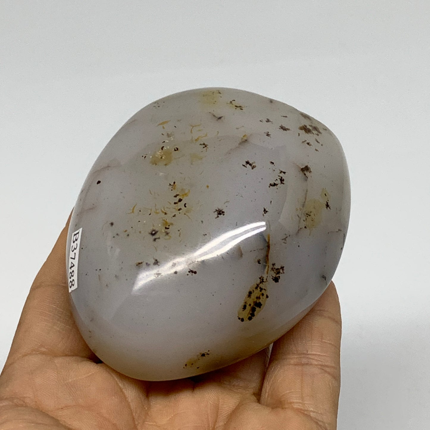0.46 lbs, 2.8"x2.4"x1.3" Dendrite Agate Freeform Reiki Energy Crystal, B37488