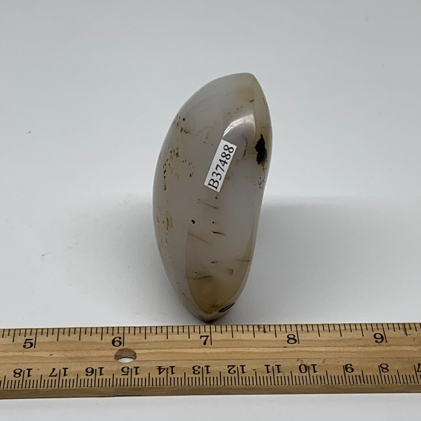 0.46 lbs, 2.8"x2.4"x1.3" Dendrite Agate Freeform Reiki Energy Crystal, B37488