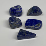 135.8g,1.2"-1.5", 5pcs, Natural Lapis Lazuli Tumbled Stone @Afghanistan, B30294