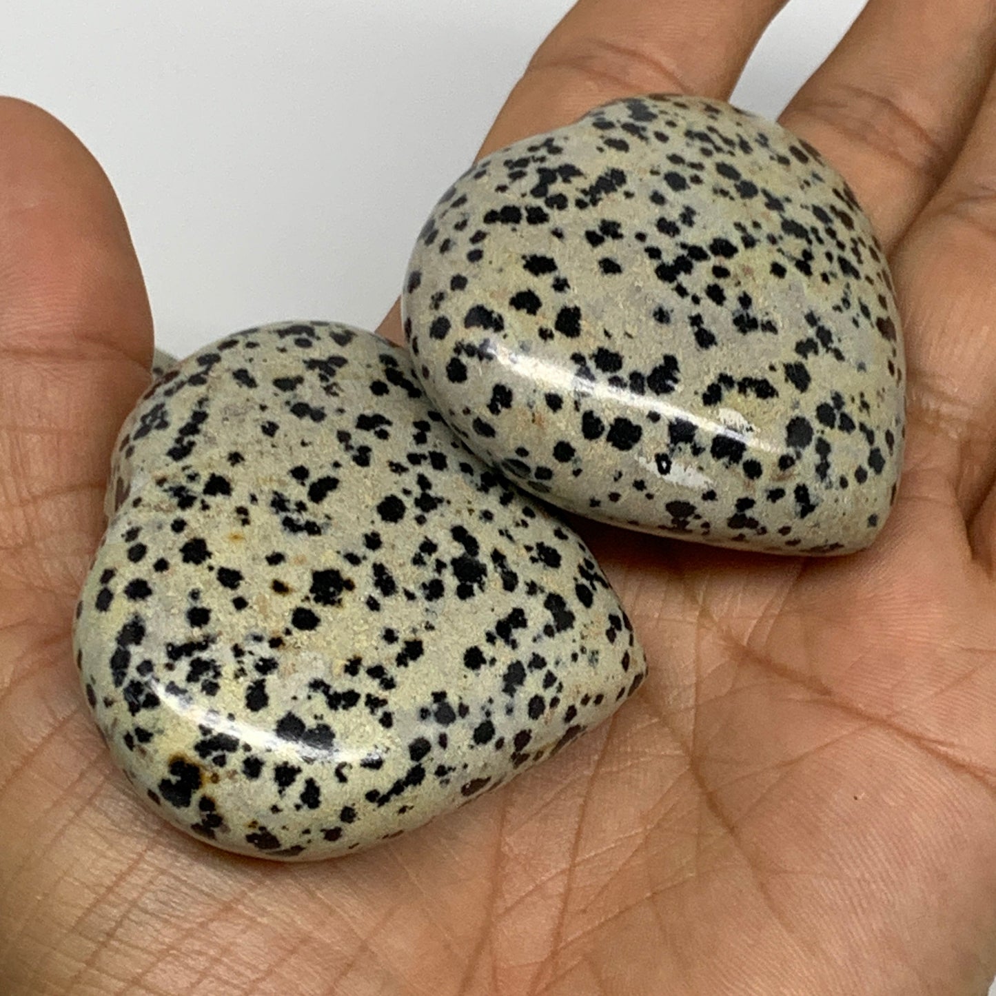 2.2 lbs (1000 Grams),1.9"-2", 13pcs, Dalmatian Jasper Heart Gemstone, B29563