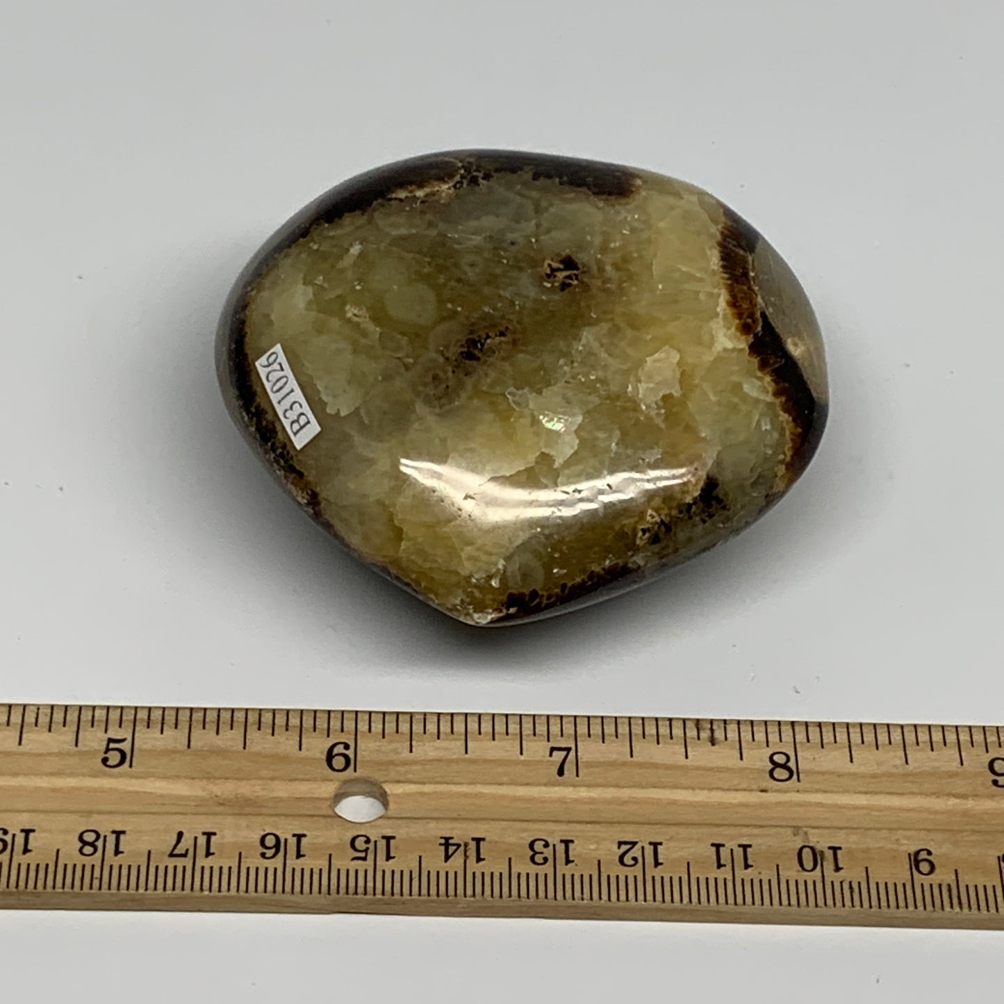 0.52 lbs, 2.8"x3"x1.4" Septarian Nodules Heart Polished Healing Crystal, B31026